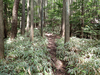 P6017980_thumb.png