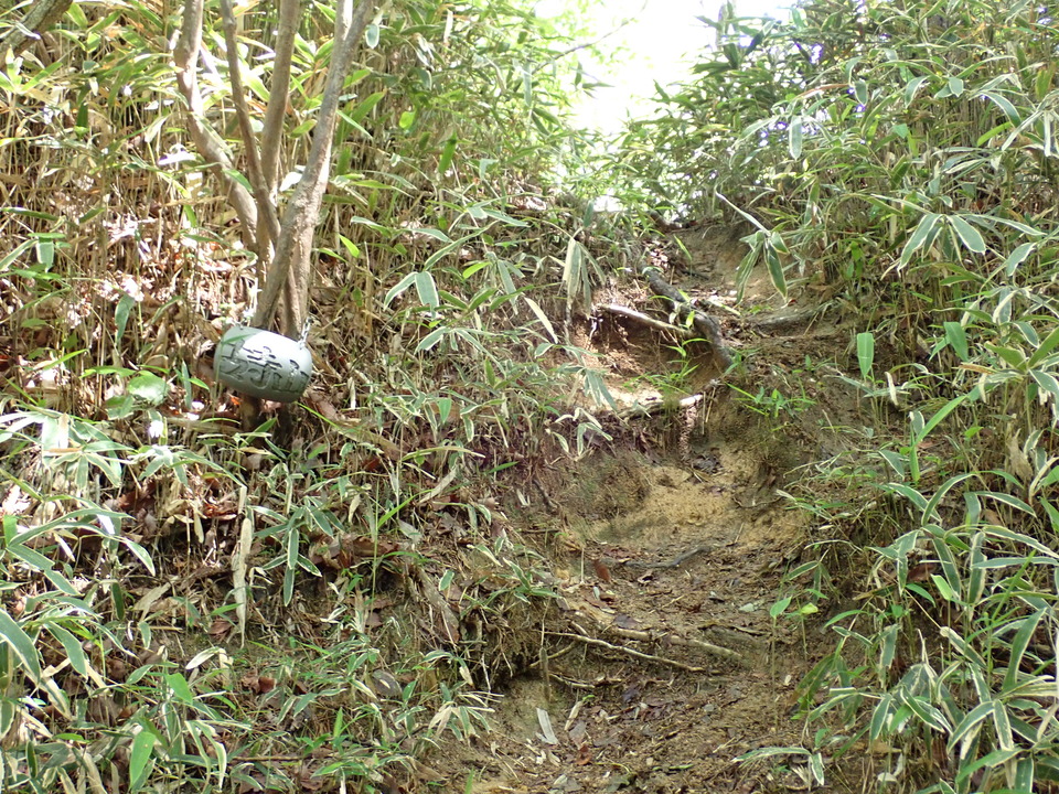 P6017984_mid.jpg