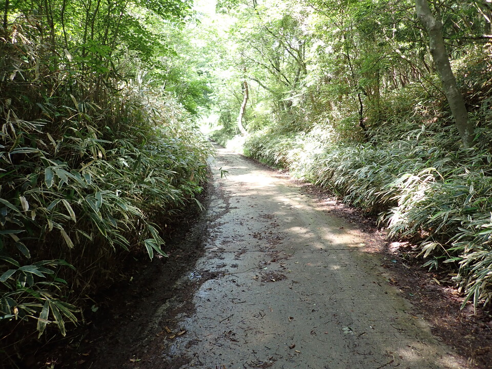 P6017985_mid.jpg