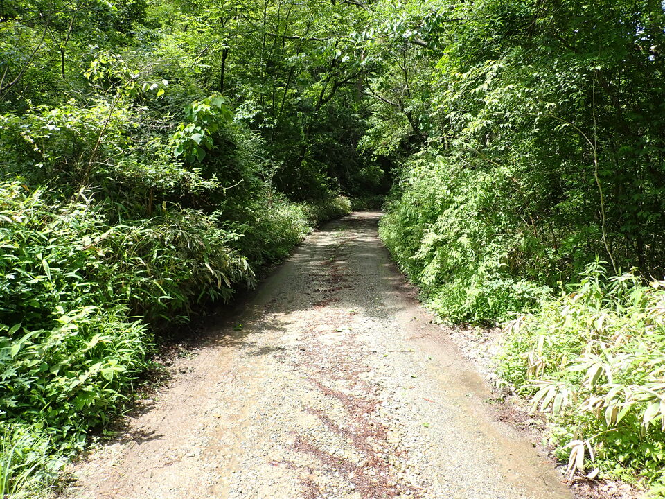 P6017989_mid.jpg