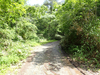 P6017990_thumb.png