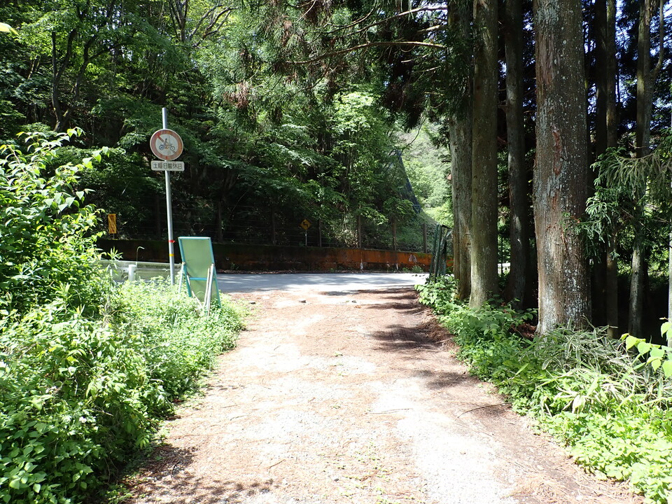 P6017991_mid.jpg