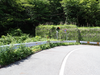 P6017997_thumb.png