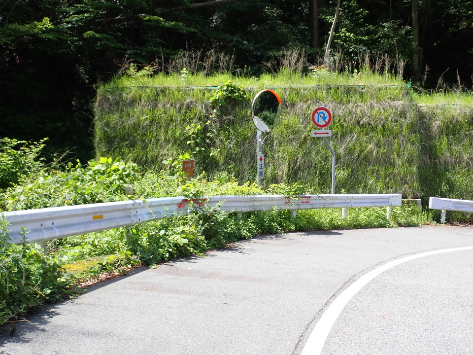 P6017998_mid.jpg