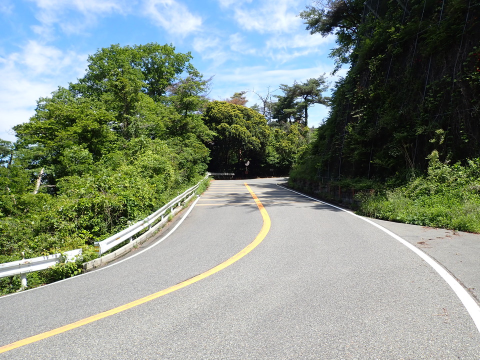 P6018000_mid.jpg