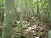 P6018004_thumb.png
