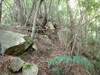 P6018015_thumb.png