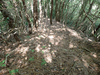 P6018022_thumb.png