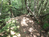 P6018025_thumb.png
