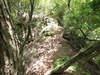 P6018035_thumb.png