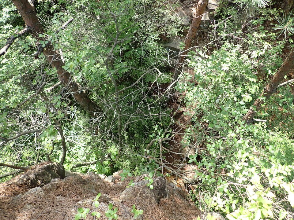 P6018037_mid.jpg