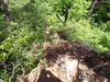 P6018040_thumb.png
