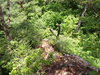 P6018041_thumb.png