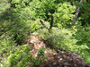 P6018042_thumb.png