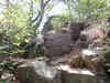 P6018045_thumb.png