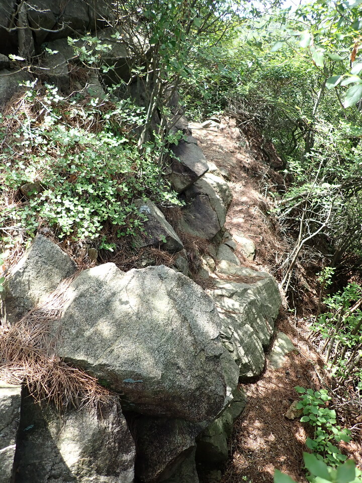 P6018048_mid.jpg