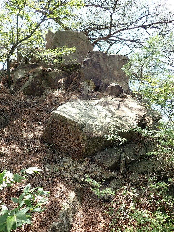 P6018049_mid.jpg