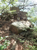 P6018049_thumb.png
