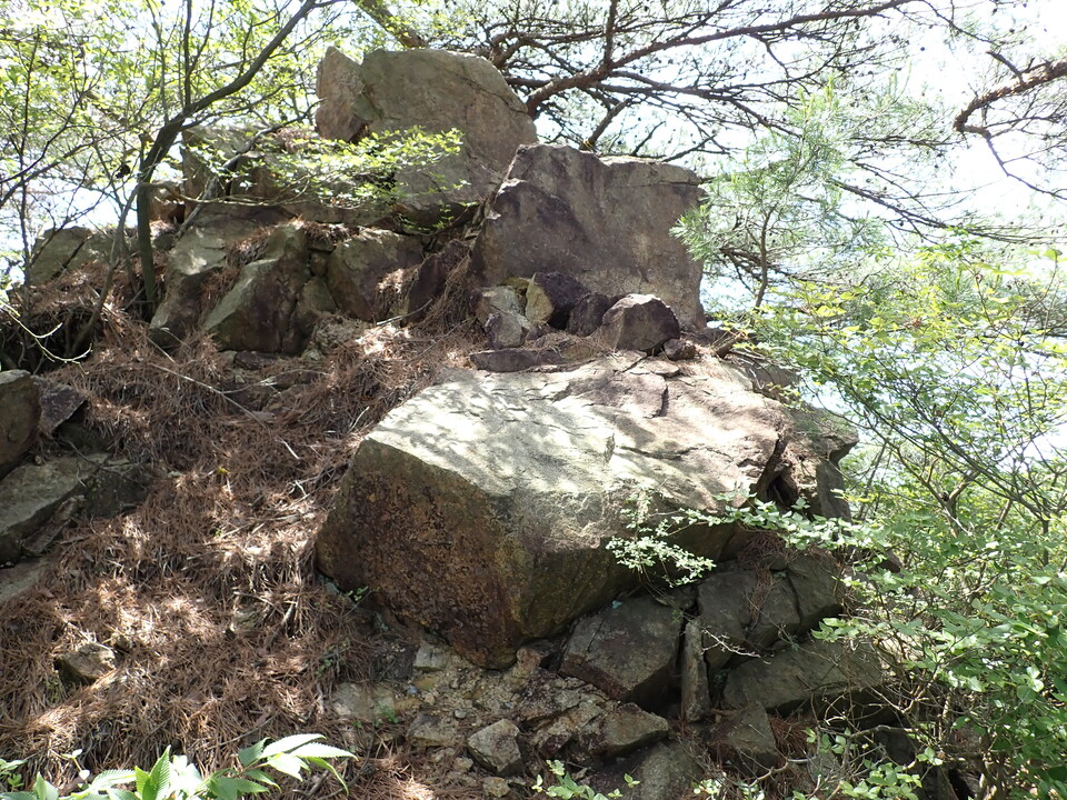 P6018050_mid.jpg