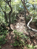 P6018053_thumb.png