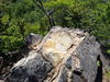 P6018054_thumb.png