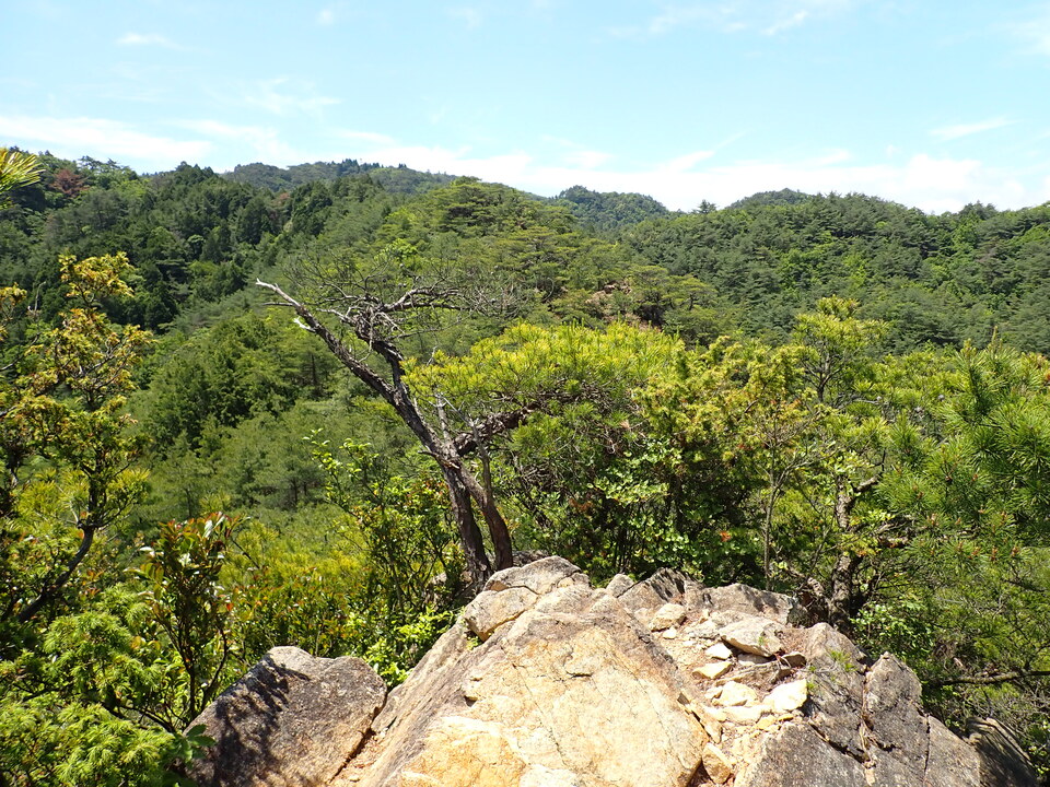 P6018055_mid.jpg