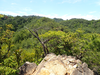 P6018055_thumb.png