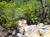 P6018058_thumb.png