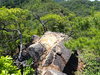P6018068_thumb.png