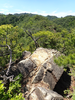 P6018069_thumb.png