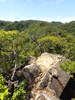 P6018070_thumb.png