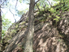 P6018078_thumb.png