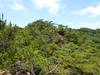 P6018080_thumb.png