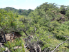 P6018082_thumb.png