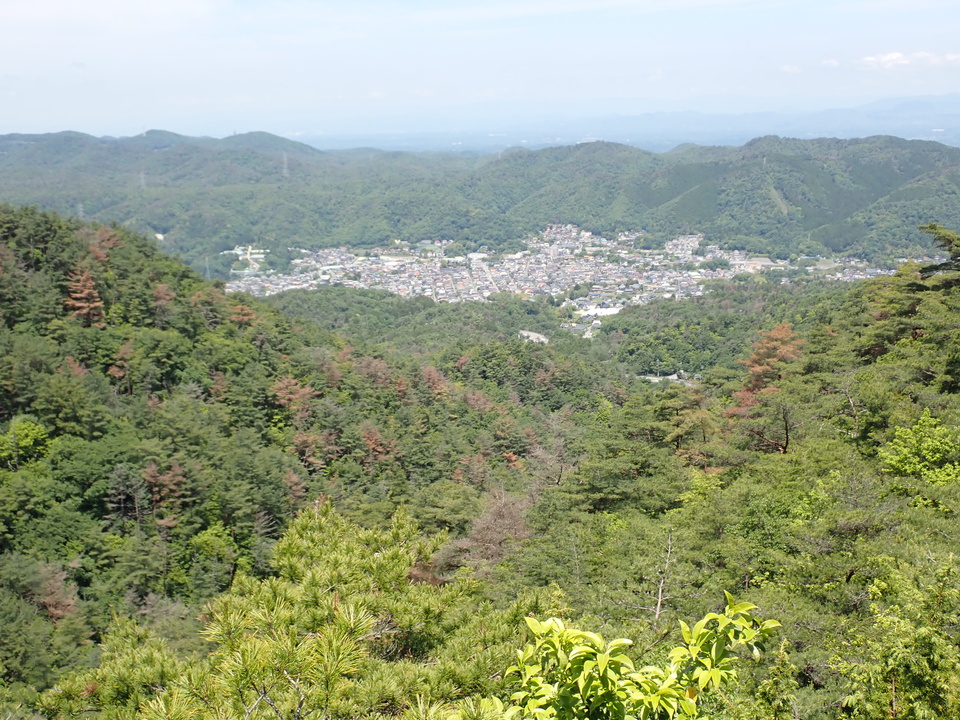 P6018083_mid.jpg