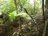 P6018086_thumb.png