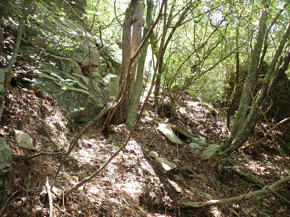 P6018091_mid.jpg