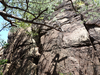 P6018093_thumb.png