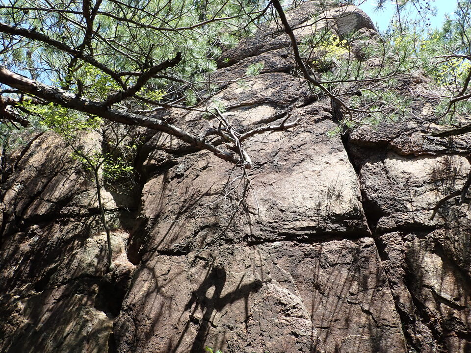P6018094_mid.jpg