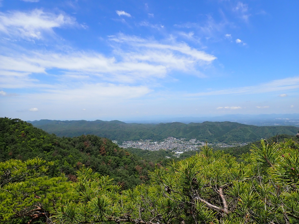 P6018097_mid.jpg