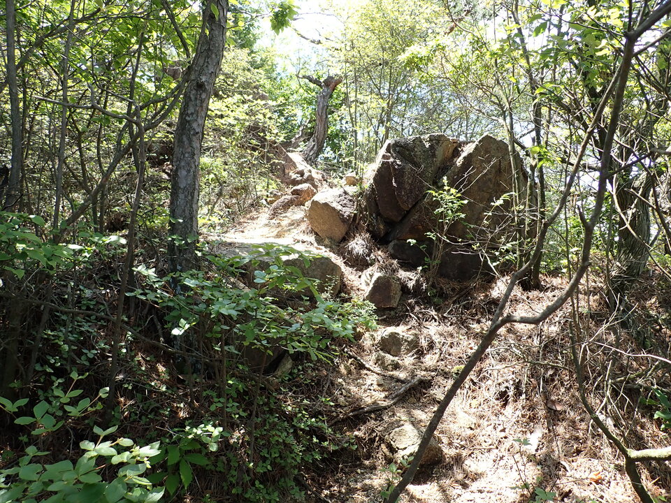 P6018102_mid.jpg