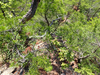 P6018104_thumb.png
