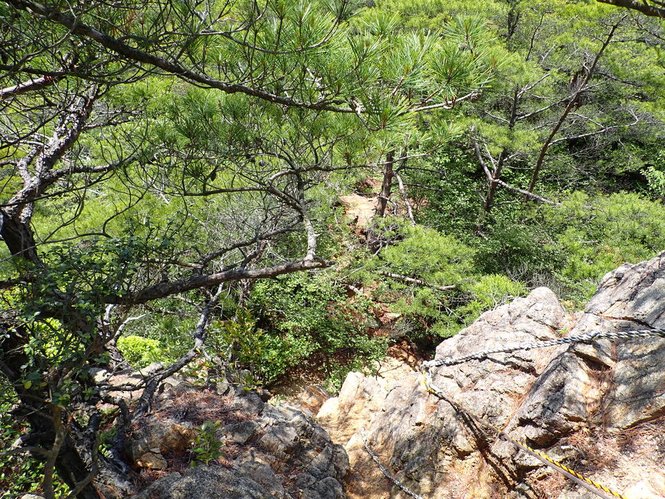 P6018113_mid.jpg