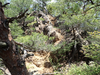 P6018133_thumb.png