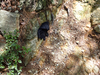 P6018136_thumb.png