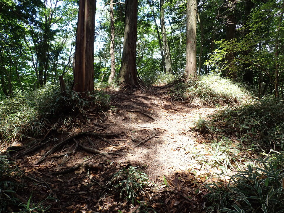 P6018141_mid.jpg