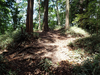 P6018141_thumb.png