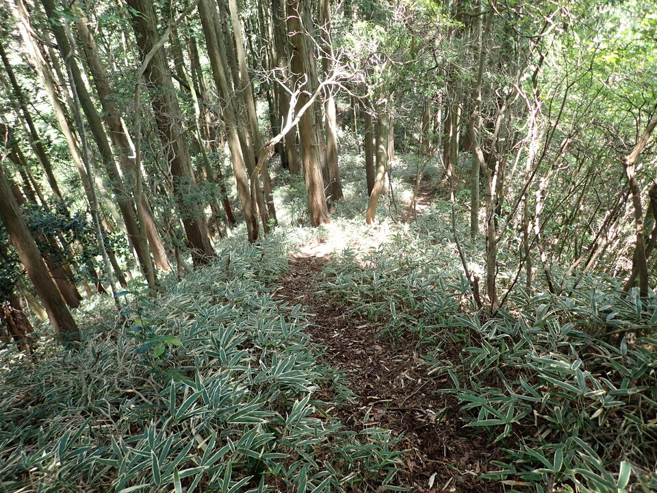P6018144_mid.jpg