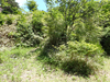 P6018149_thumb.png