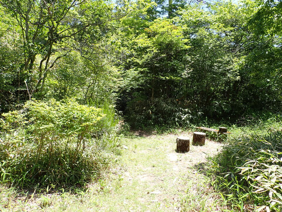 P6018150_mid.jpg